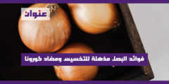فوائد البصل مذهلة للتخسيس ومضاد كورونا