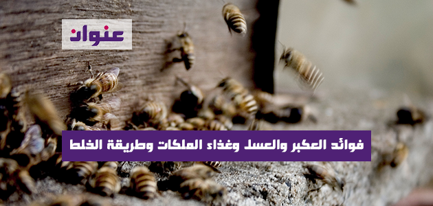 فوائد العكبر والعسل وغذاء الملكات وطريقة الخلط