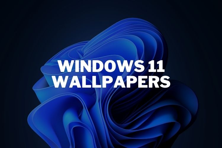 Windows 11 ويندوز 11