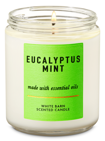 eucalyptus mint