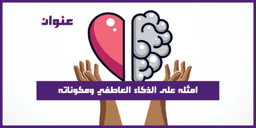 امثله على الذكاء العاطفي ومكوناته.. طريقك للنجاح امثله على الذكاء العاطفي ومكوناته.. طريقك للنجاح