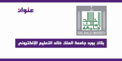 بلاك بورد جامعة الملك خالد التعليم الإلكتروني