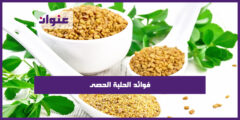 فوائد الحلبة الحصى