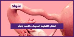 اعشاب لتنشيط المبايض و الحمل بتوأم