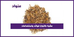 عشبة كاتوابا فوائد واستخدامات