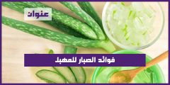 فوائد الصبار للمهبل فوائد الصبار للمهبل