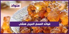 فوائد الصمغ العربي هشاب