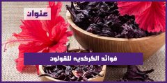 فوائد الكركديه للقولون
