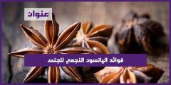 فوائد اليانسون النجمي للجنس
