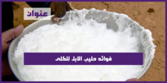 فوائد حليب الابل للكلى