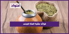 فوائد عشبة المتة للجنس