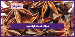 فوائد نجمة اليانسون