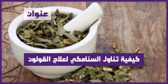 كيفية تناول السنامكي لعلاج القولون