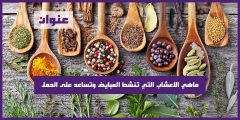 ماهي الاعشاب التي تنشط المبايض وتساعد على الحمل