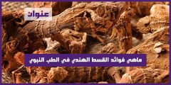 ماهي فوائد القسط الهندي في الطب النبوي