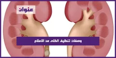 وصفات تنظيف الكلى من الاملاح