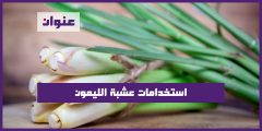 استخدامات عشبة الليمون