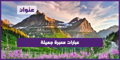 عبارات معبرة جميلة