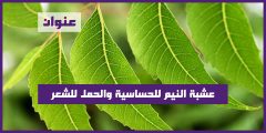 عشبة النيم للحساسية والحمل للشعر