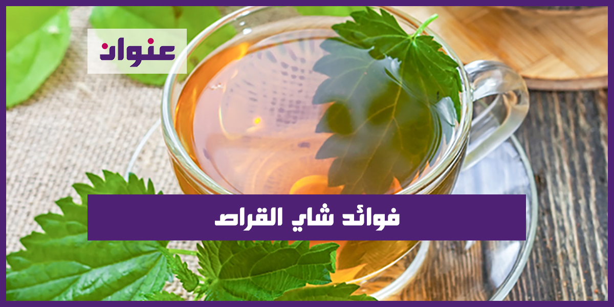 فوائد شاي القراص