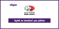 محاكم دبي استفسار عن قضية
