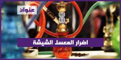 اضرار المعسل الشيشة