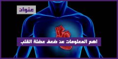 اهم المعلومات عن ضعف عضلة القلب