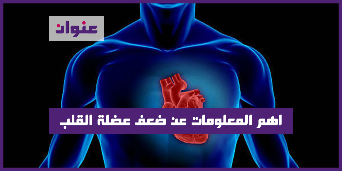 اهم المعلومات عن ضعف عضلة القلب