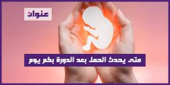 متى يحدث الحمل بعد الدورة بكم يوم
