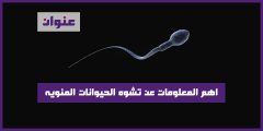 اهم المعلومات عن تشوه الحيوانات المنويه