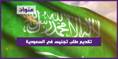 تقديم طلب تجنيس في السعودية 2022