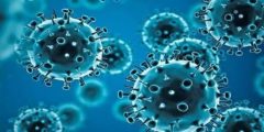 كل ما تريد معرفته عن ماربورغ فيروس غينيا القاتل