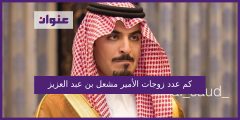 كم عدد زوجات الامير مشعل بن عبدالعزيز