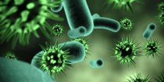 حالات العدوى بفيروس ماربورغ في السعودية