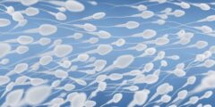 هل السائل الشفاف يسبب الحمل